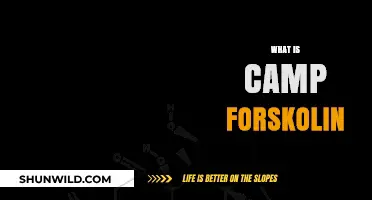 Understanding Camp Forskolin: Benefits, Uses, and How It Works