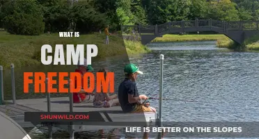 Exploring Camp Freedom: Purpose, Impact, and Transformative Experiences Revealed