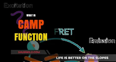 Understanding Camp Function: Purpose, Benefits, and Practical Applications Explained