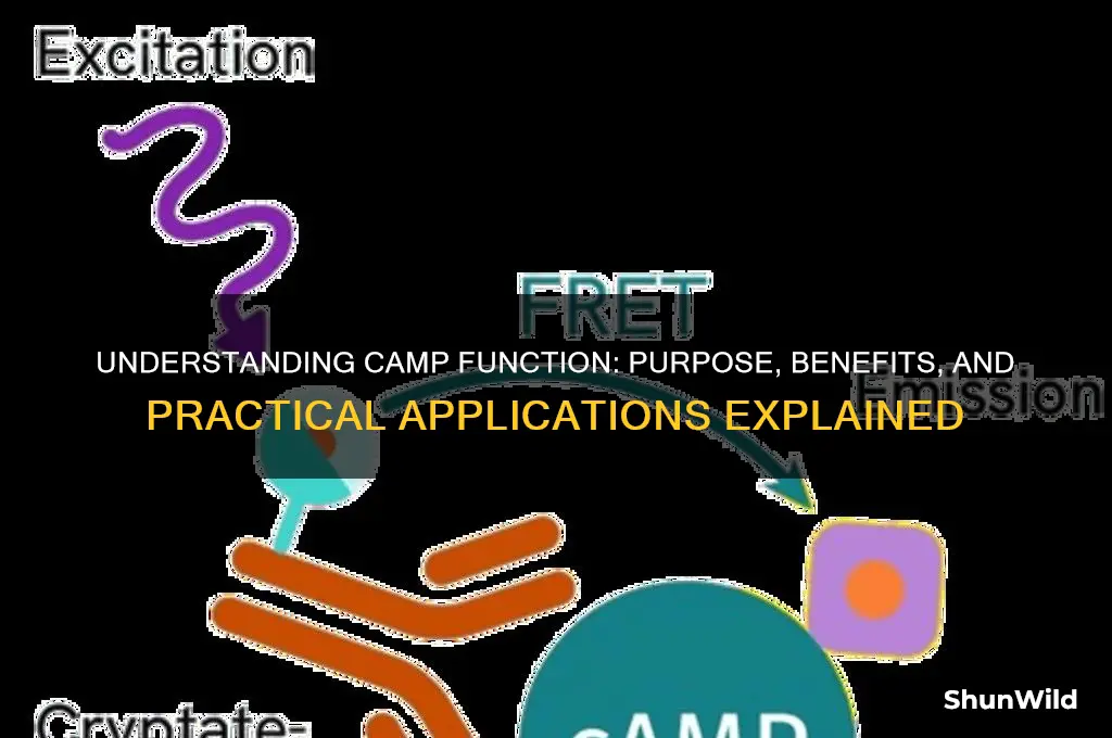 what is camp function