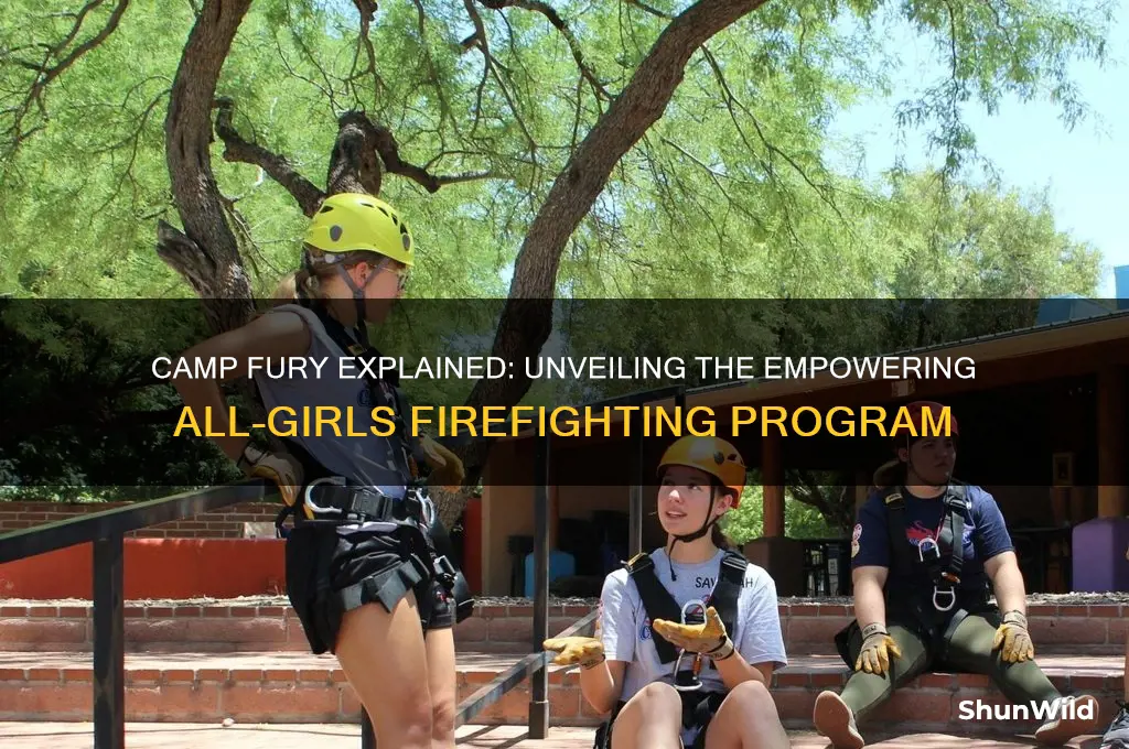 what is camp fury
