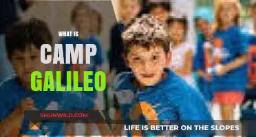 Discover Camp Galileo: Innovative Summer Learning Adventures for Kids