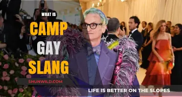 Unveiling the Meaning and Origins of 'Camp' in Gay Slang