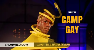 Unveiling Camp Gay: A Bold, Playful Expression of Queer Culture