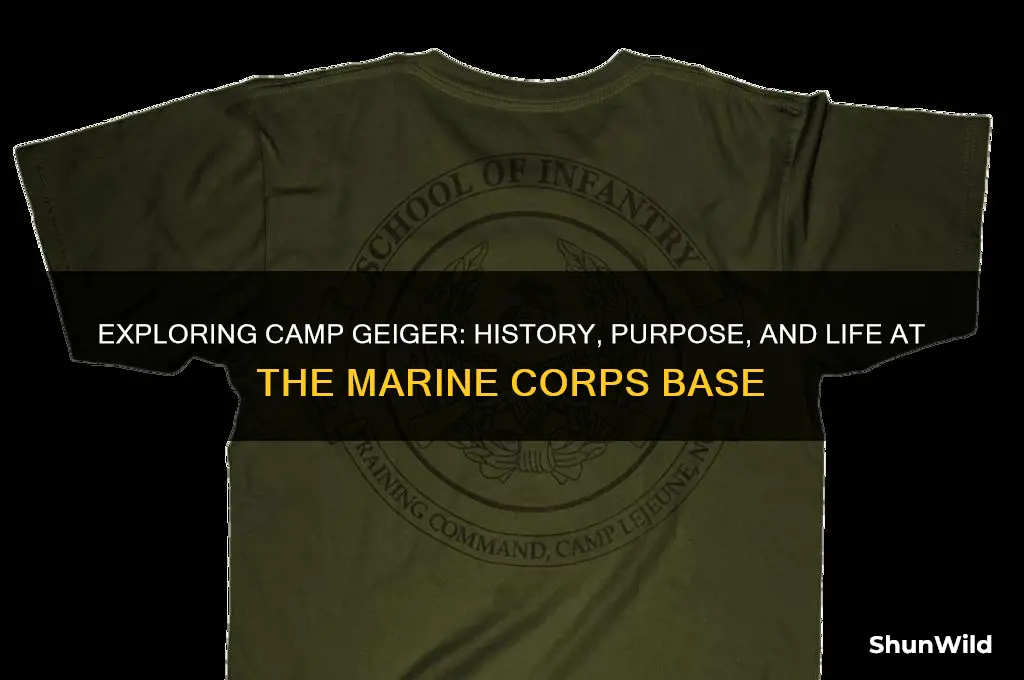 what is camp geiger