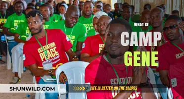 Unveiling Camp Gene: A Unique Summer Experience for Youth