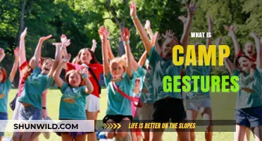 Understanding Camp Gestures: A Guide to Their Meaning and Use