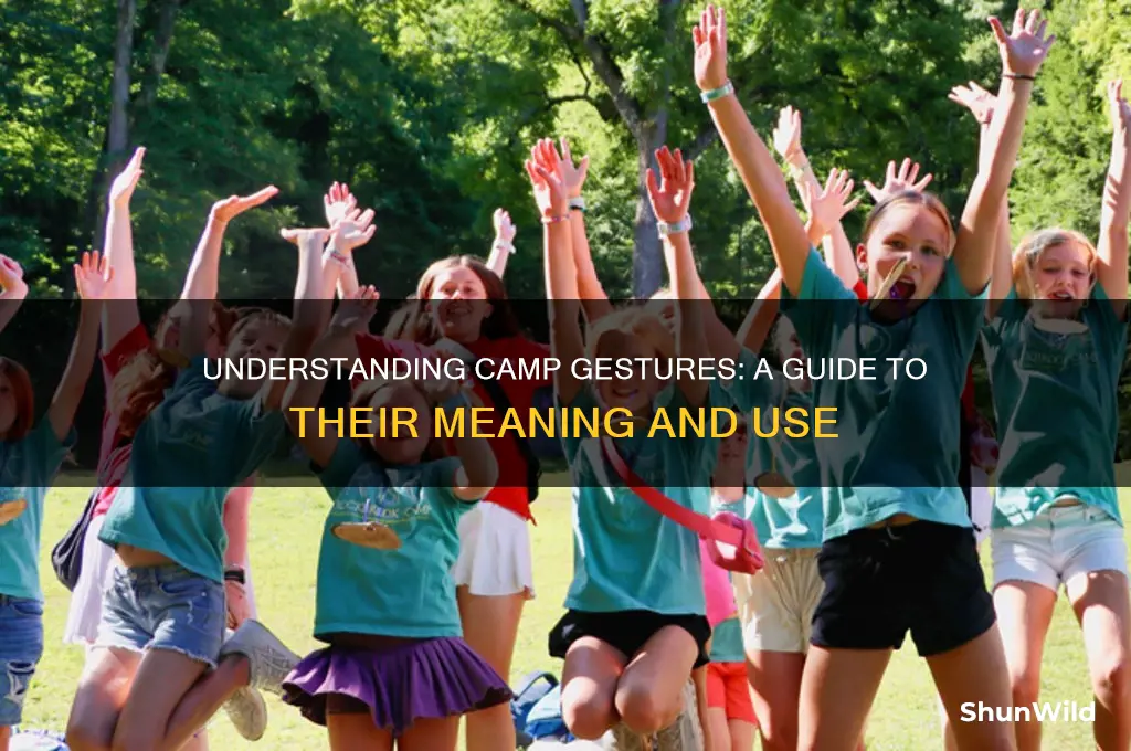 what is camp gestures