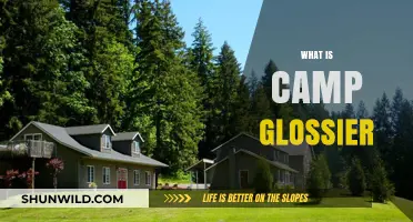 Unveiling Camp Glossier: A Summer Beauty Retreat Explained