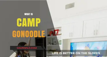 Discover Camp GoNoodle: Fun, Active Adventures for Kids Explained