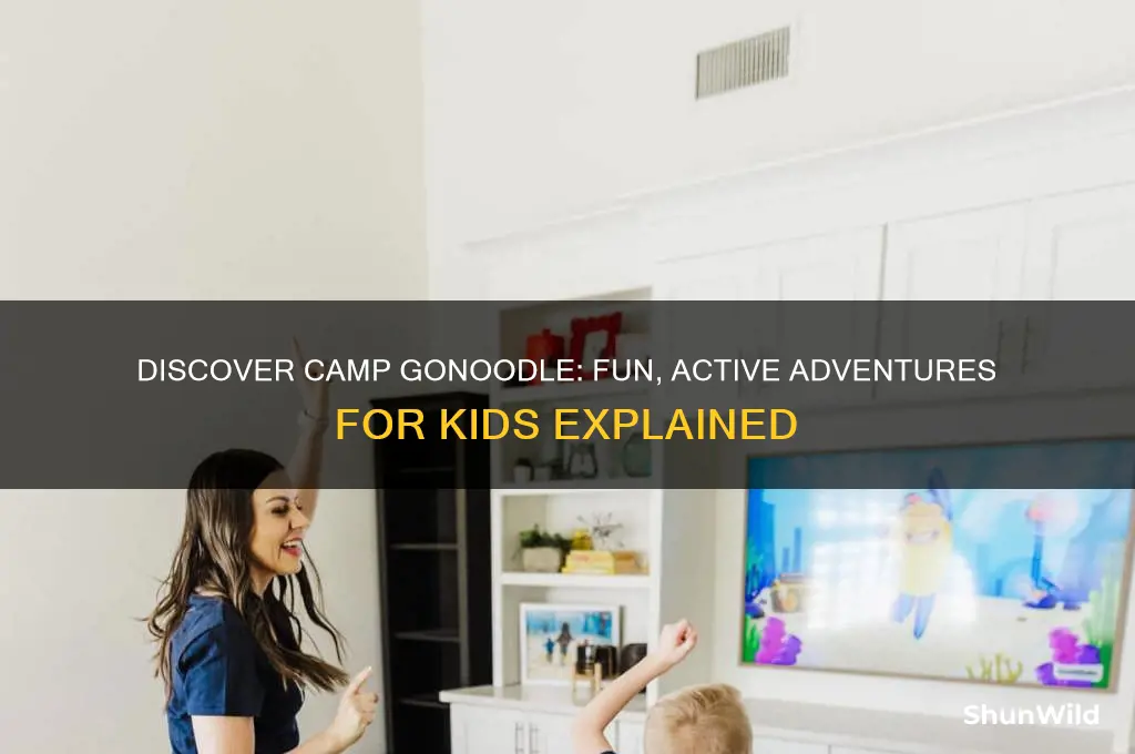 what is camp gonoodle