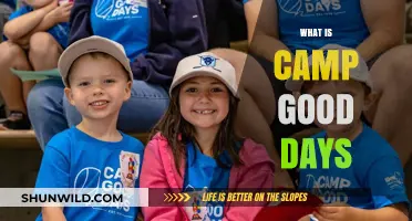 Discover Camp Good Days: A Haven for Kids with Cancer