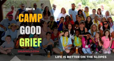 Understanding Camp Good Grief: Healing and Support for Grieving Children