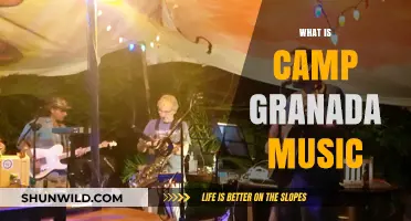 Exploring the Fun and History of Camp Granada Music