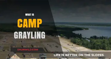 Discovering Camp Grayling: Michigan's Premier Military Training Center