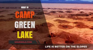 Unveiling Camp Green Lake: A Journey into Its Secrets and Stories