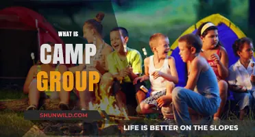 Exploring Camp Groups: Fun, Learning, and Community for Kids