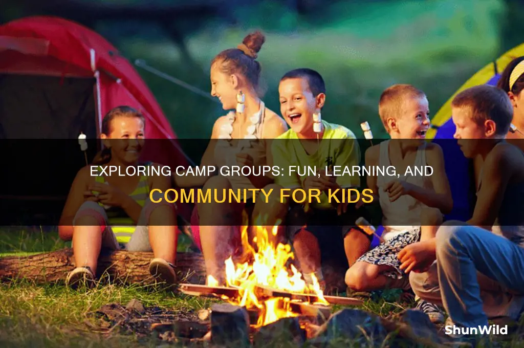 what is camp group
