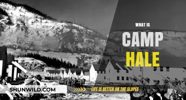 Unveiling Camp Hale: A Historic Military Training Site in Colorado