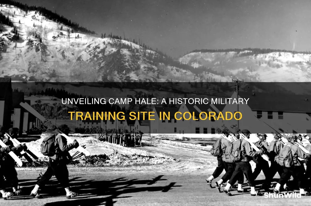 what is camp hale