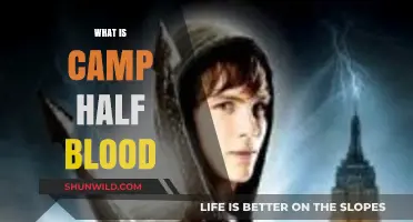 Unveiling Camp Half-Blood: A Demigod's Guide to Rick Riordan's World