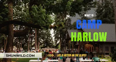 Exploring Camp Harlow: A Hidden Gem in Oregon's Wilderness