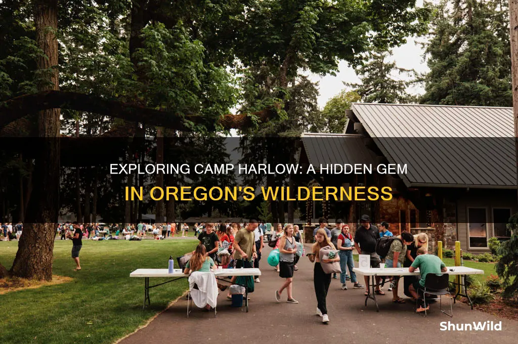 what is camp harlow