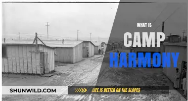 Unveiling Camp Harmony: History, Purpose, and Lasting Legacy Explained