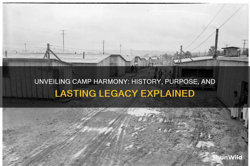 what is camp harmony
