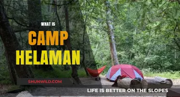 Understanding Camp Helaman: Purpose, Programs, and Impact Explained