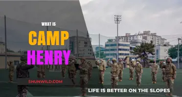 Exploring Camp Henry: History, Purpose, and Significance in Daegu
