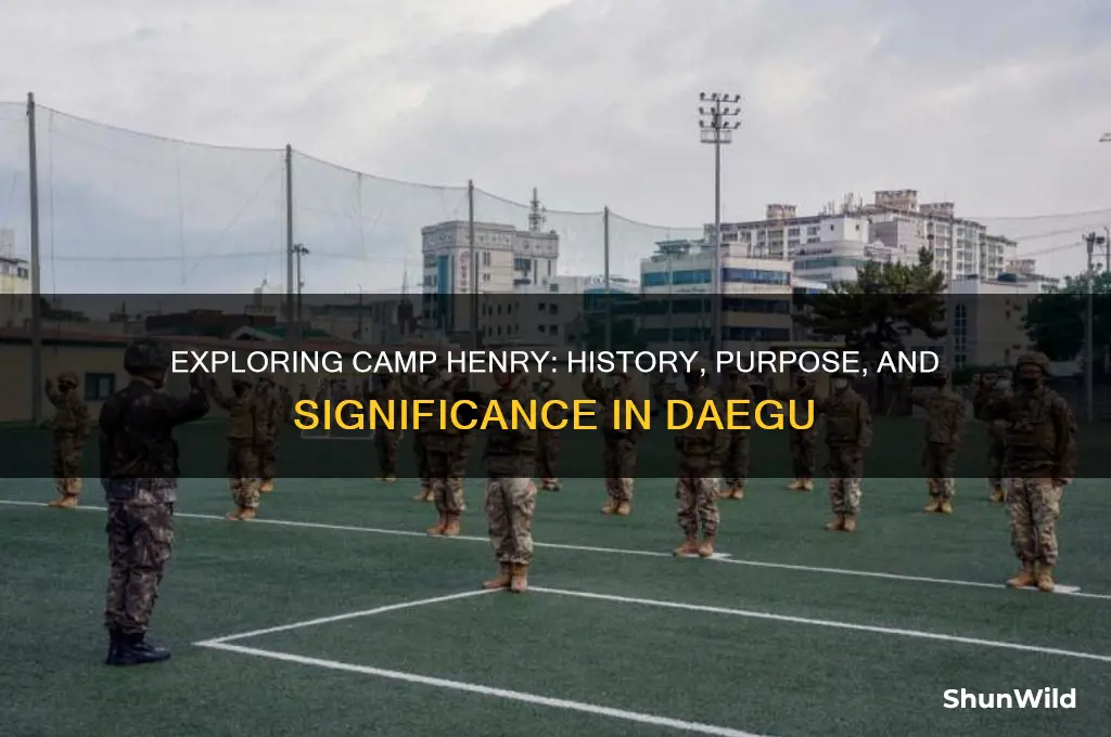 what is camp henry