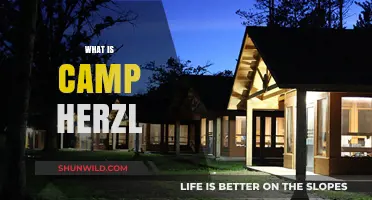 Discover Camp Herzl: A Jewish Summer Camp Experience Like No Other