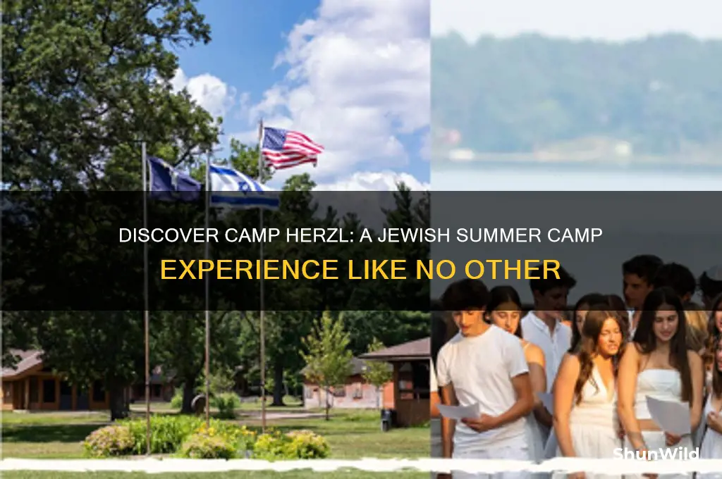 what is camp herzl