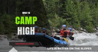 Exploring Camp High: A Unique Adventure Experience for Outdoor Enthusiasts