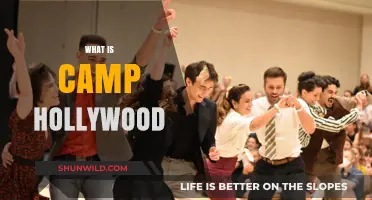 Unveiling Camp Hollywood: A Glimpse into the Iconic Dance Extravaganza