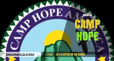 Discovering Camp Hope: A Haven for Healing and Community Support
