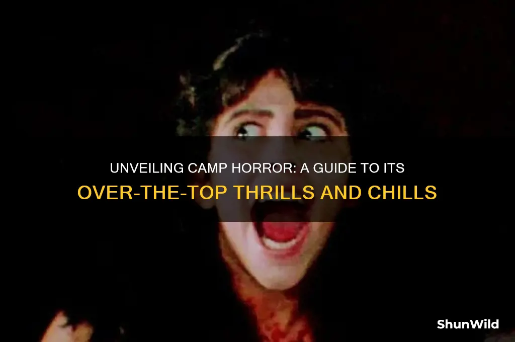 what is camp horror