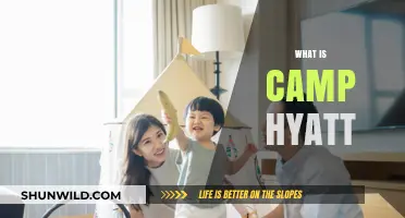 Discover Camp Hyatt: A Unique Family Adventure Experience Explained
