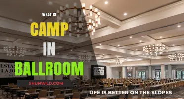 Exploring Camp: A Bold, Playful Style in Ballroom Dance