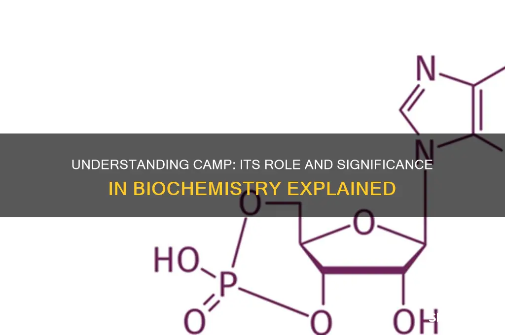 what is camp in biochemistry