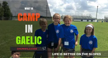 Exploring the Meaning and Cultural Significance of Camp in Gaelic