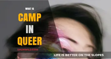 Unveiling Camp: A Queer Aesthetic of Exaggeration and Defiance