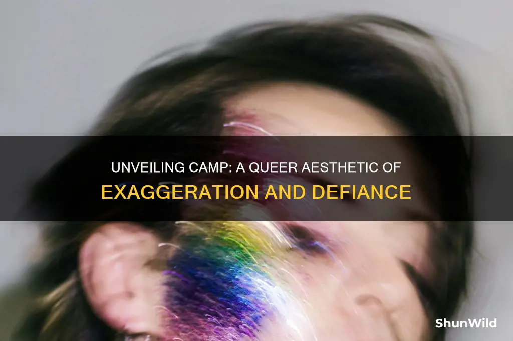 what is camp in queer