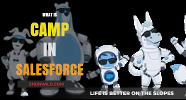 Understanding Camp in Salesforce: Features, Benefits, and Use Cases