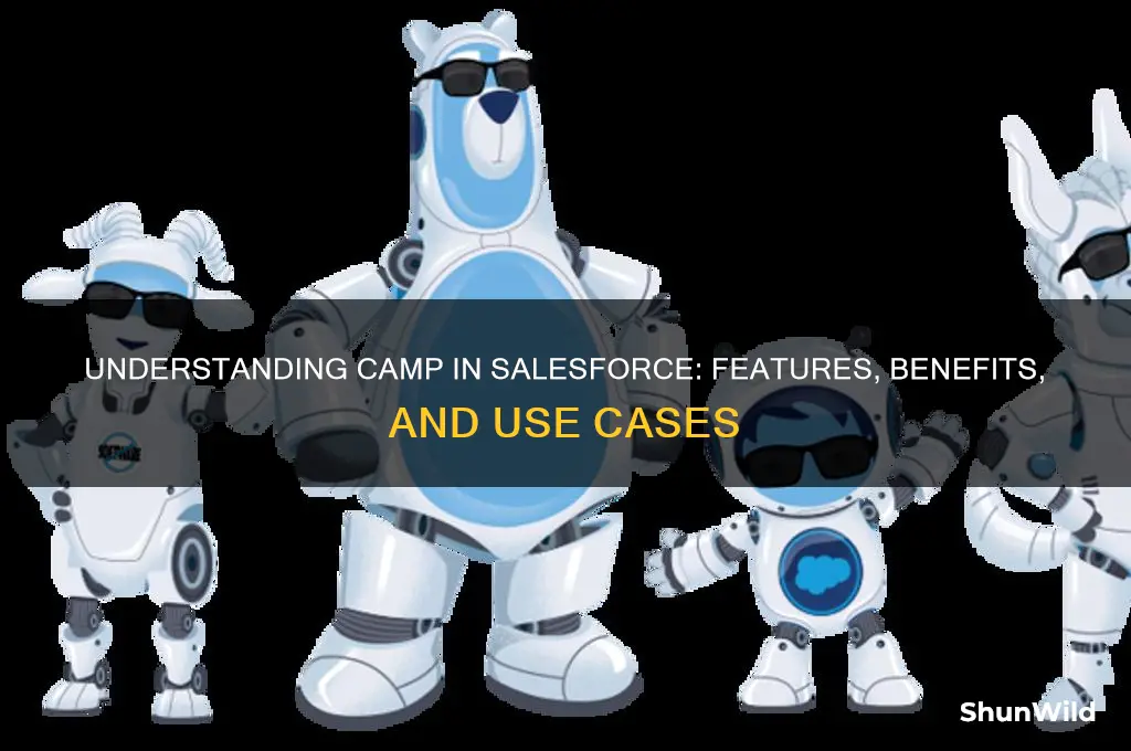 what is camp in salesforce
