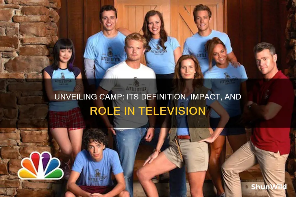 what is camp in television