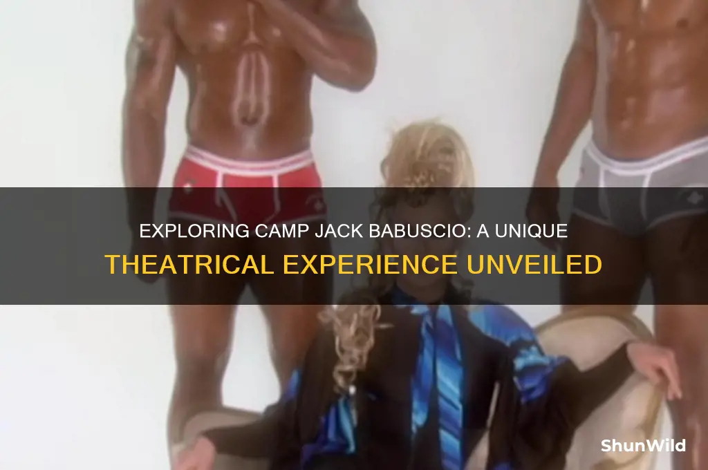 what is camp jack babuscio
