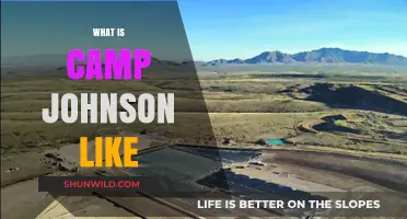 Exploring Camp Johnson: Life, Facilities, and Community Insights