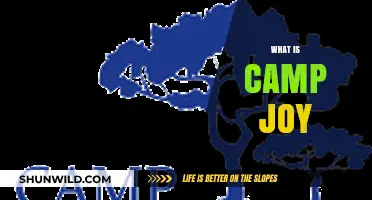 Discover Camp Joy: A Transformative Outdoor Adventure Experience for Youth